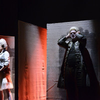 ale7236-accademia-dei-folli-il-bugiardo-carlo-goldoni.jpg