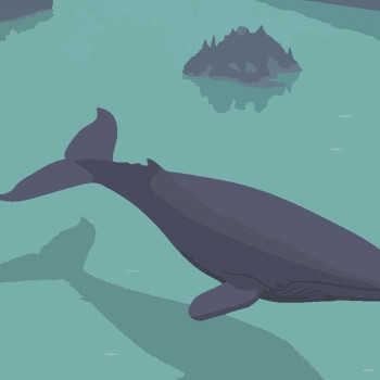 MOBY DICK