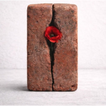 STO DALLA VOSTRA PARTE