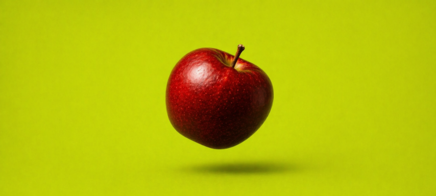 melanottedafavolabig-4819.png